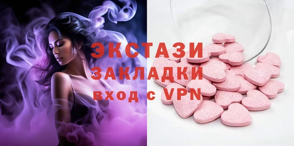 ECSTASY Богданович