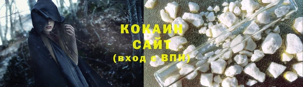 ECSTASY Богданович